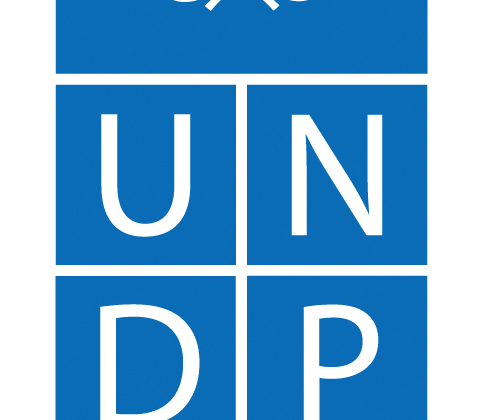 UNDP logo