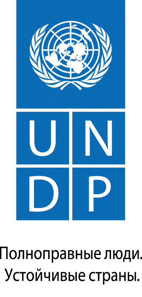 UNDP RU